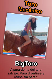 A pura doma del toro salvaje. Para divertirse y reirse sin parar.  Toro Mecnico BigToro